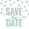 Modern Shimmer Save the Date - Announcement